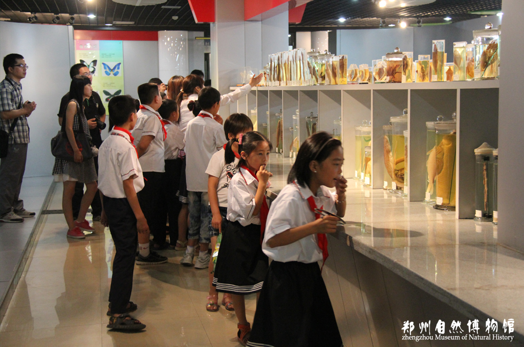 微信图片_20171219104938.png 微信图片_20171219104938.png