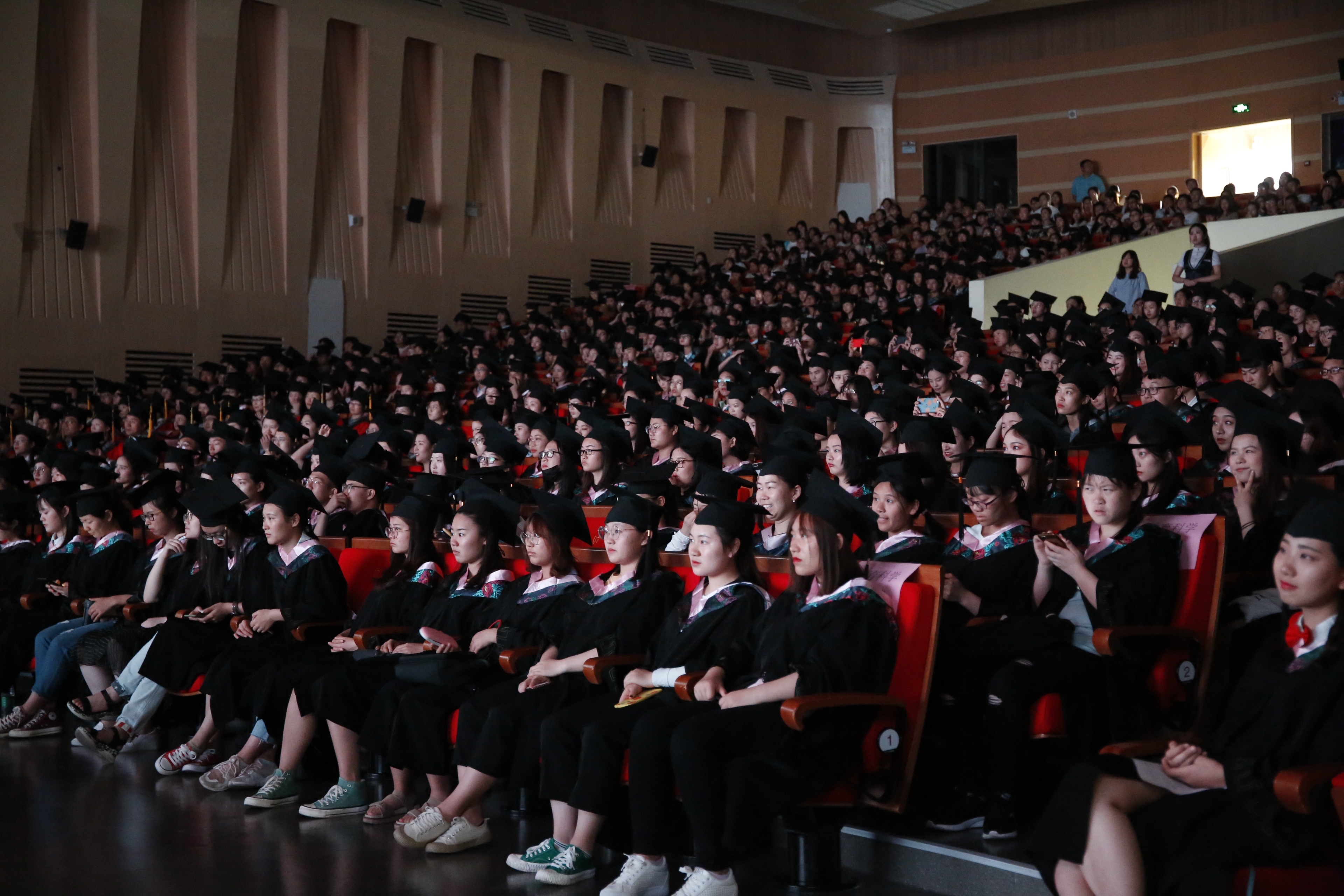 _Z1B8012.JPG _Z1B8012.JPG