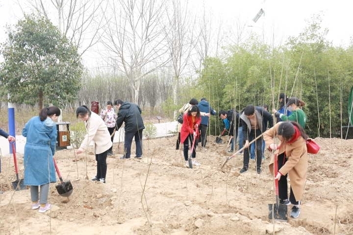 微信图片_20190410104932.jpg 微信图片_20190410104932.jpg