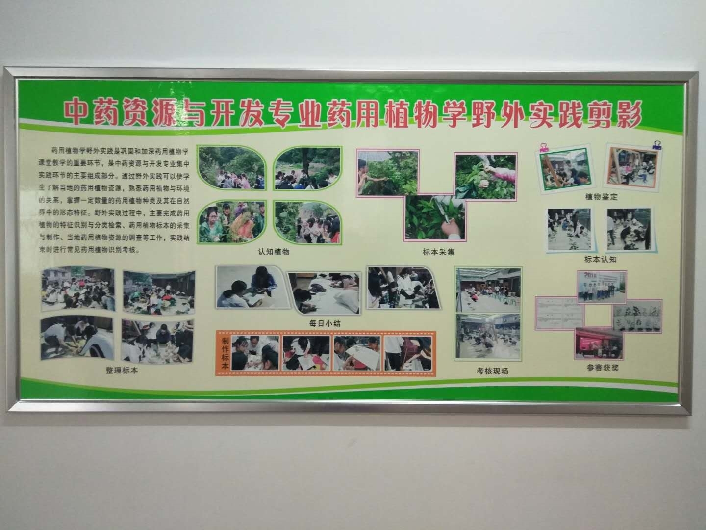 51257775780307374.jpg 51257775780307374.jpg